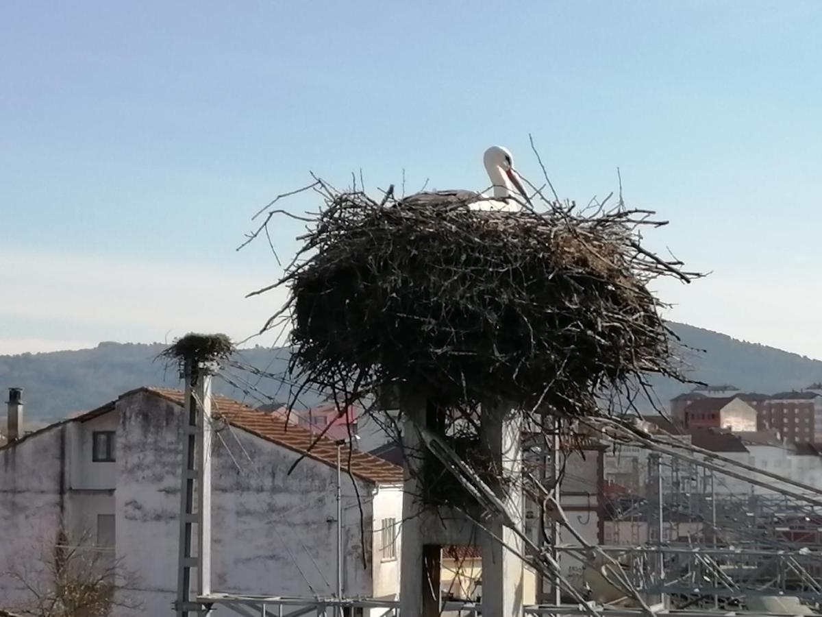 Apartamento Lemavos Monforte De Lemos Esterno foto
